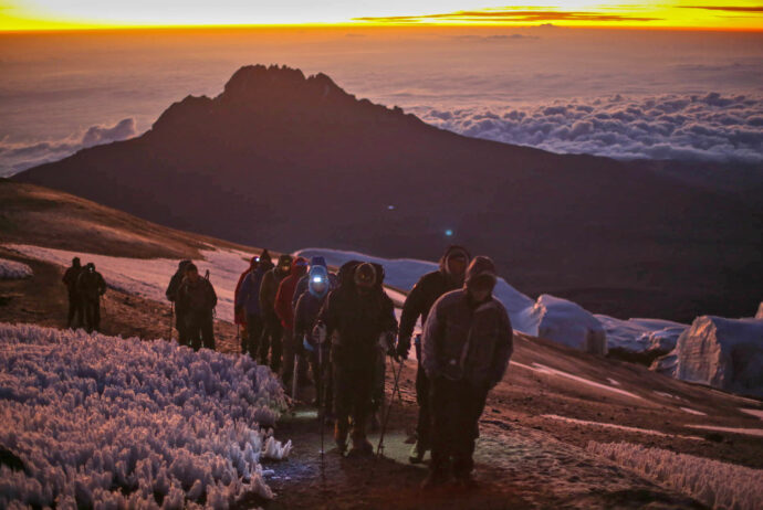 Kilimanjaro rejser